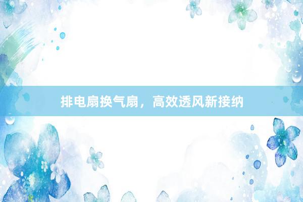 排电扇换气扇，高效透风新接纳