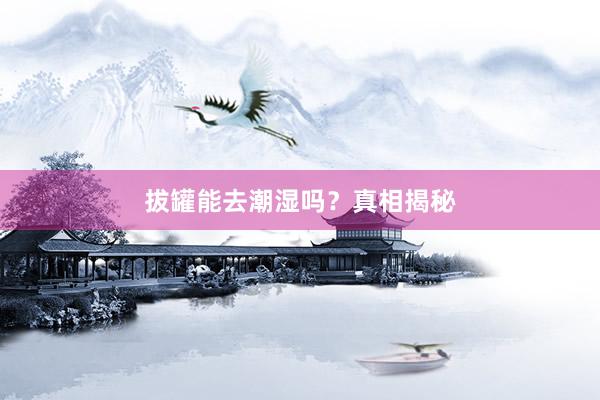 拔罐能去潮湿吗？真相揭秘